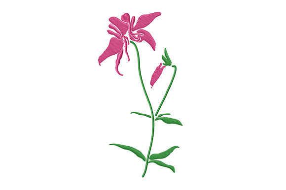 h1Pink Columbine Flower: A Designer’s Review for Boutique Sweatshirts/h1