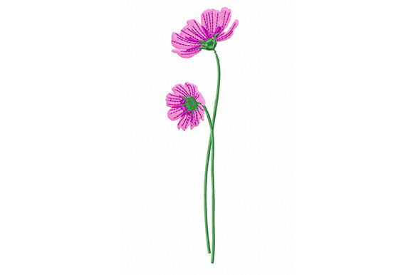 Pink Cosmos Flowers: A Designerβs Review for Personalized Gifts