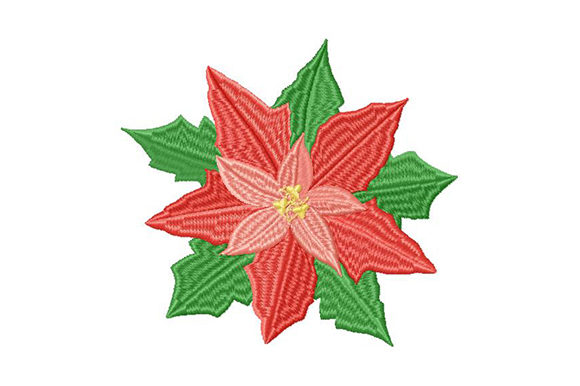 Poinsettia Christmas Star: A Festive Embroidery That Shines